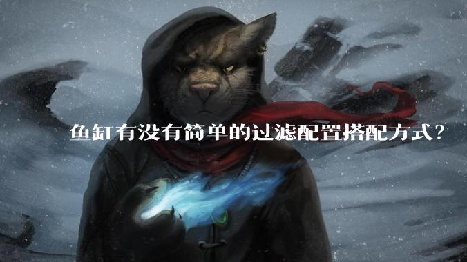 鱼缸有没有简单的过滤配置搭配方式？